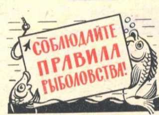 Осторожно, рыболов! Осторожно, рыболов!