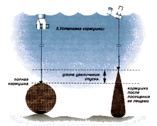 Ловля леща бортовыми удочками с лодки
