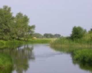 Ловля леща