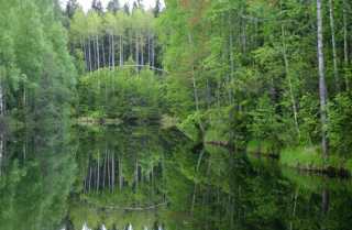 Чудесная рыбалка в Карелии