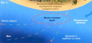 Трофейная щука