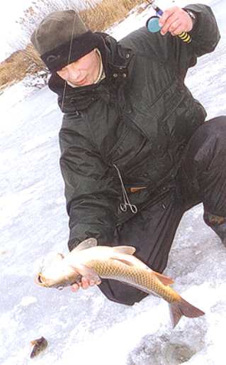 Зимний карп