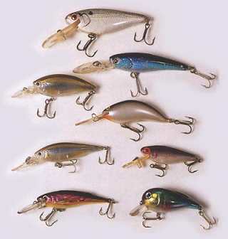 "Shad" "Shad"
